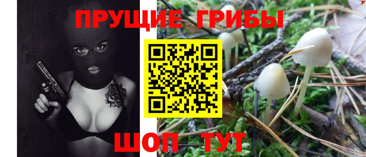Псилоцибиновые грибы Magic Shrooms  Вход с VPN  Нижний Новгород 